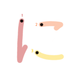 ひらがな『に』のなぞり書き（カラー）